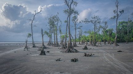 Asia Climate Crisis