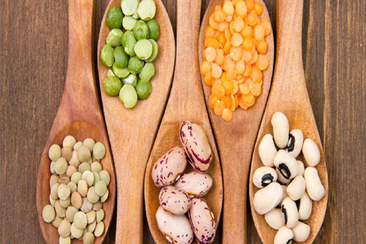 Bean Aisle Nutritional Density