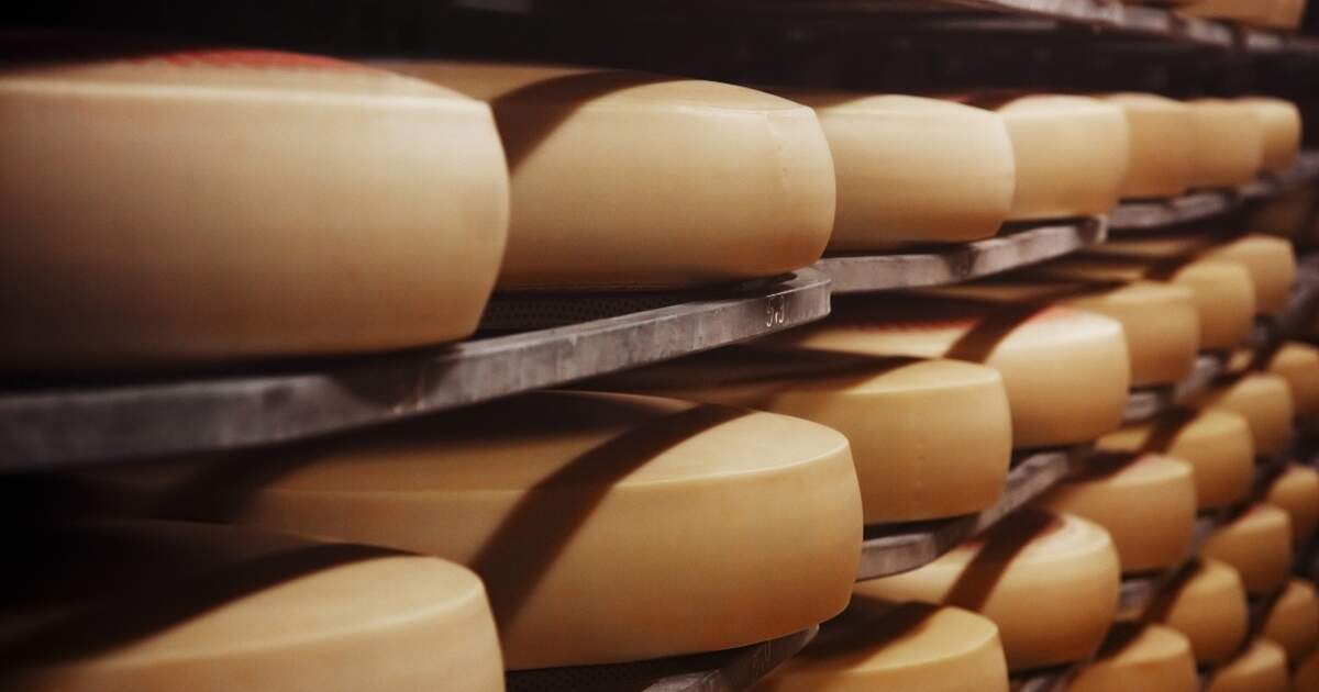 Cheese Imports Surprising Switzerland Unraveling the Trend of Increased Inbound Cheese