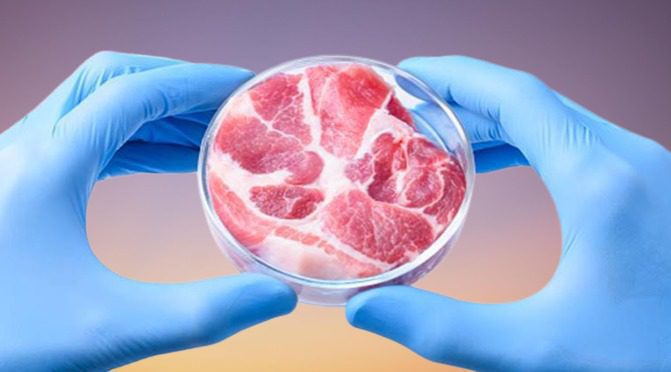 Lab-Grown Meat Without Killing Animals