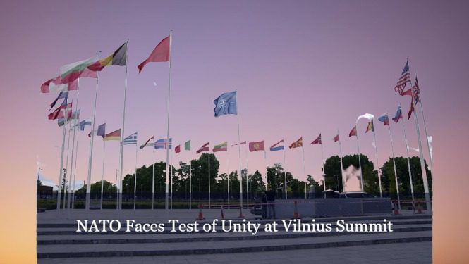 NATO's Unity at the Summit is Crucial