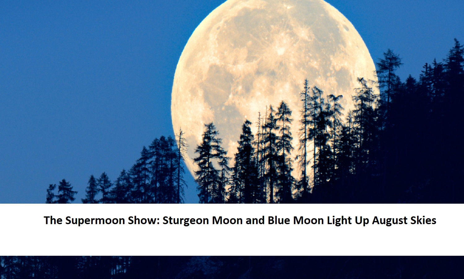 The Supermoon Show Sturgeon Moon and Blue Moon Light Up August Skies