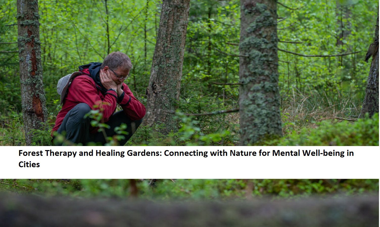 Forest Therapy and Healing Gardens: Connecting with Nature for Mental Well-being in Cities