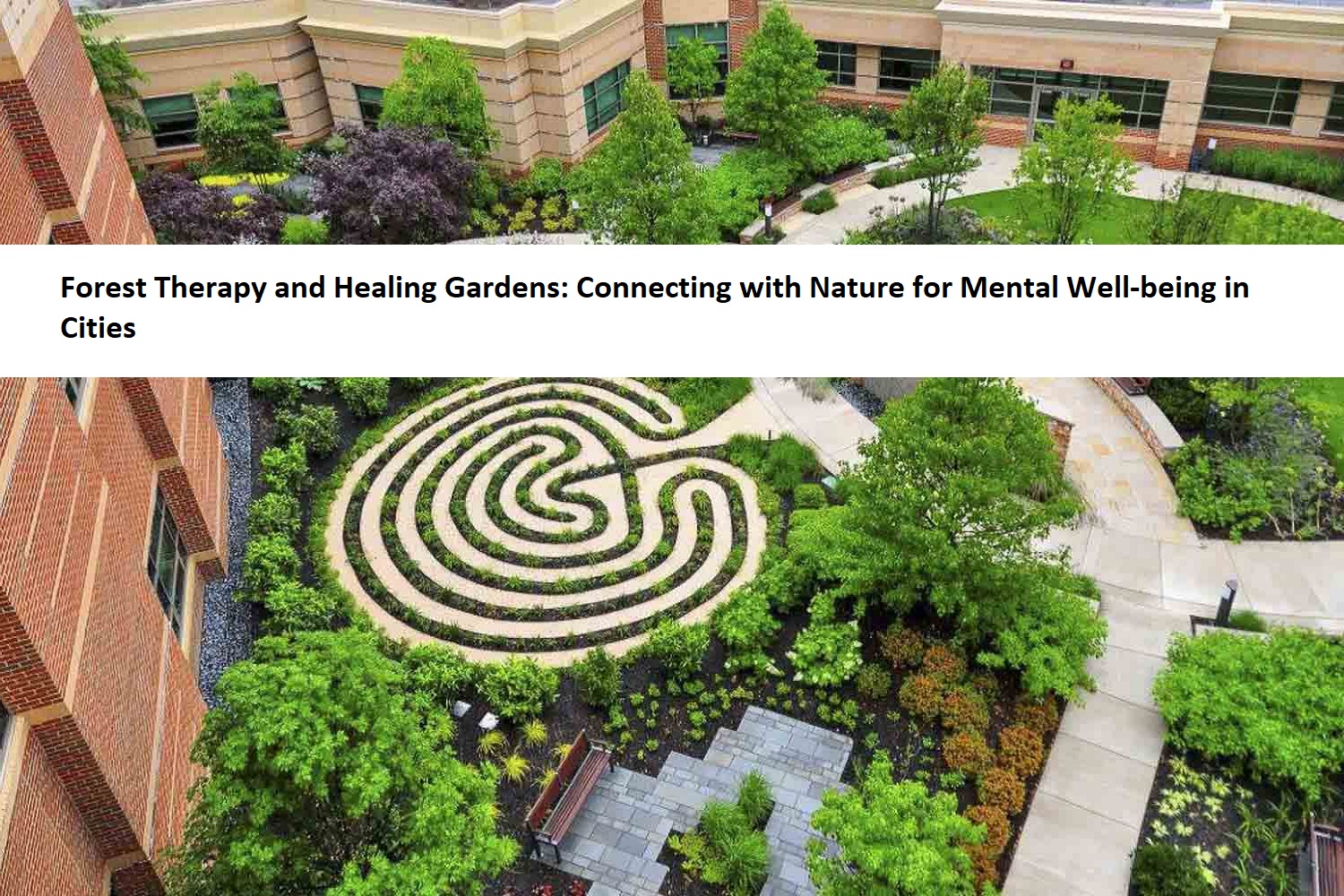 Forest Therapy and Healing Gardens: Connecting with Nature for Mental Well-being in Cities