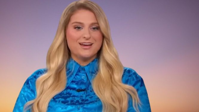 Meghan Trainor Welcomes Second Child