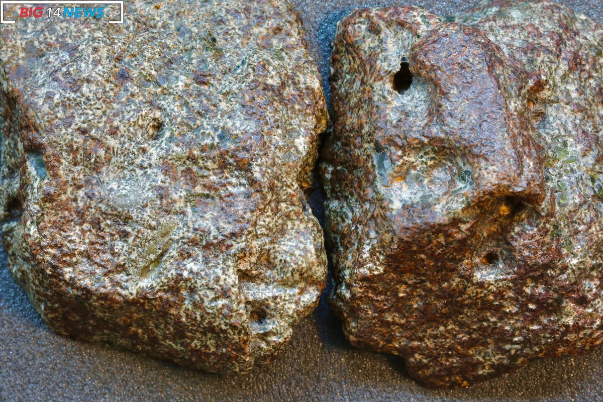 Erg Chech 002 Meteorite