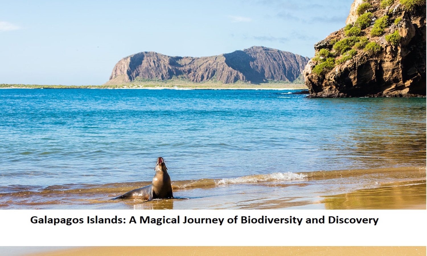 Galapagos Islands A Magical Journey of Biodiversity and Discovery