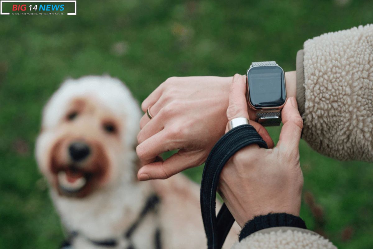 Garmin and Apple Watch Enhance Wellness