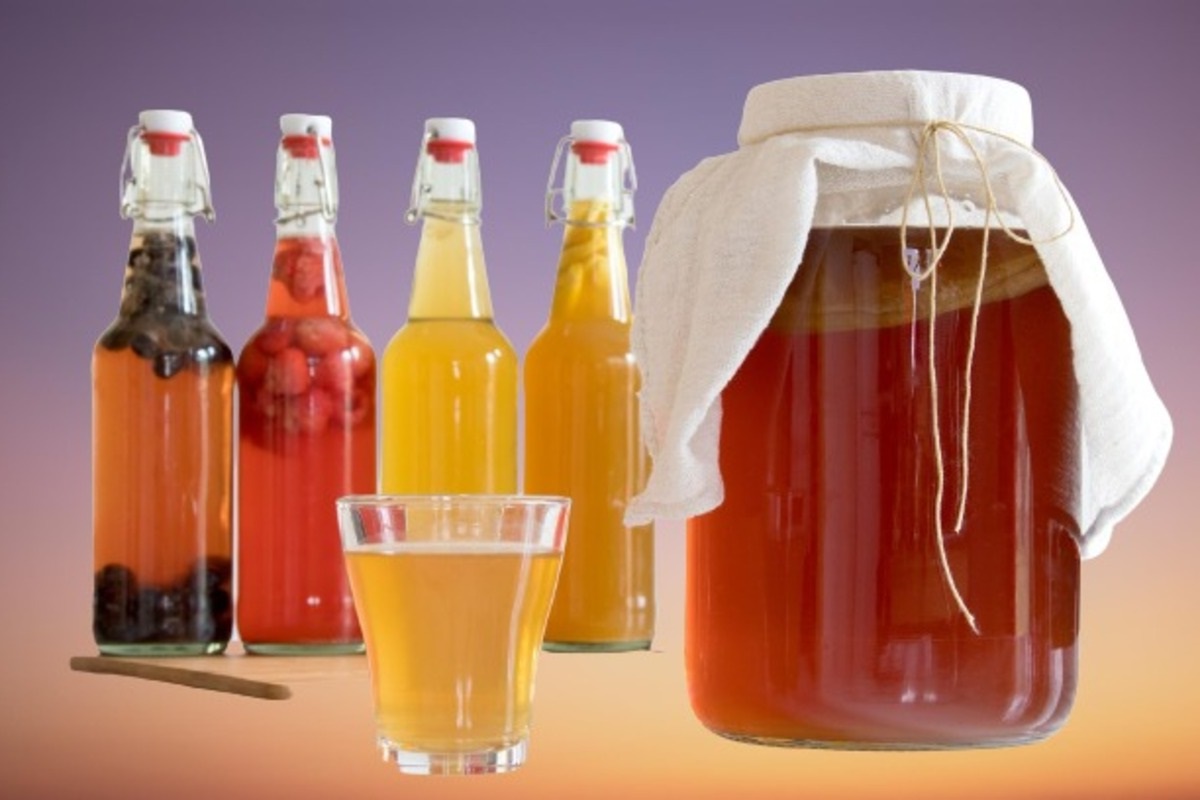 Kombucha Tea