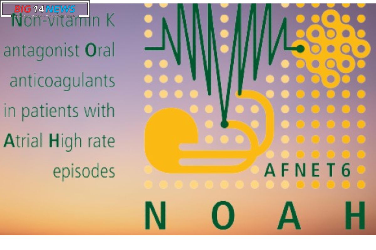 NOAH-AFNET 6 Study