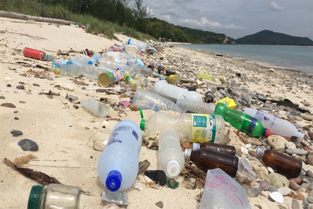 Ocean Plastic Contamination