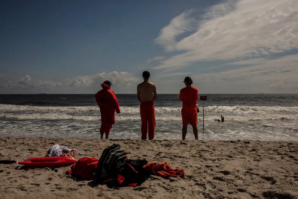 Rare Shark Bite at Rockaway Beach