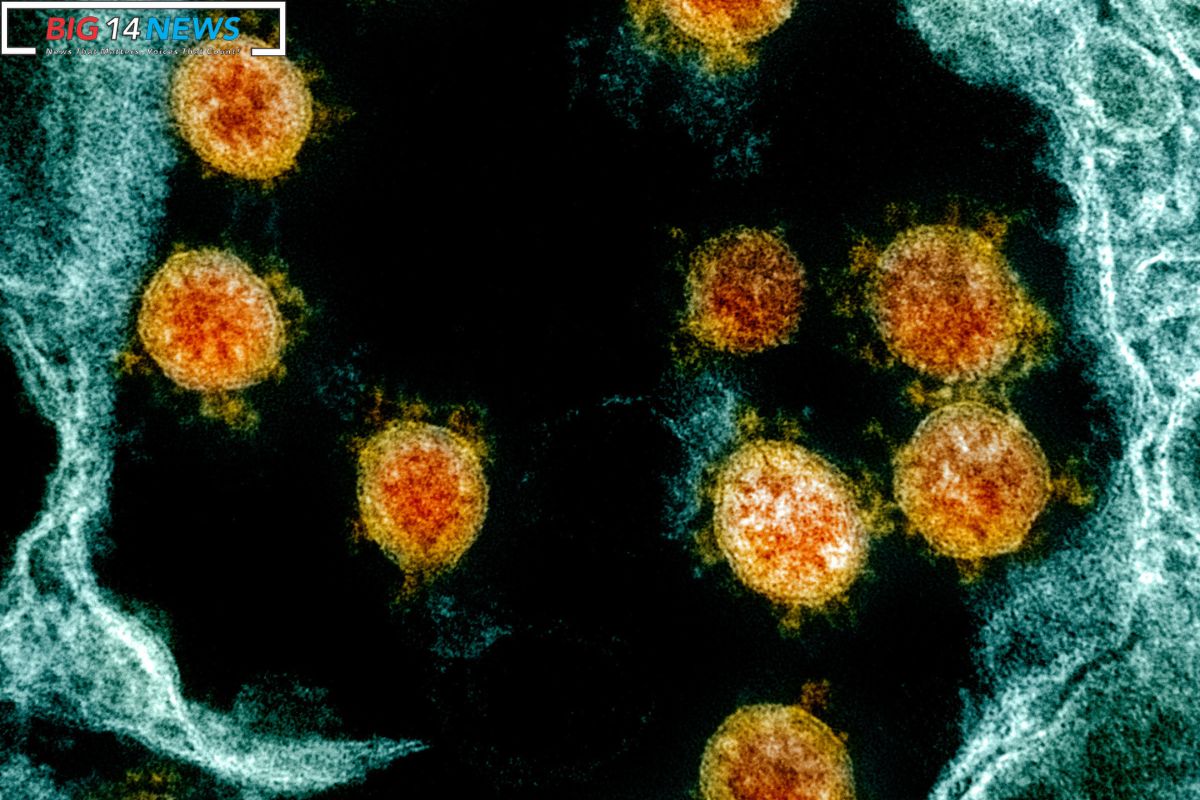 SARS CoV 2 Variants Impact COVID-19 Severity