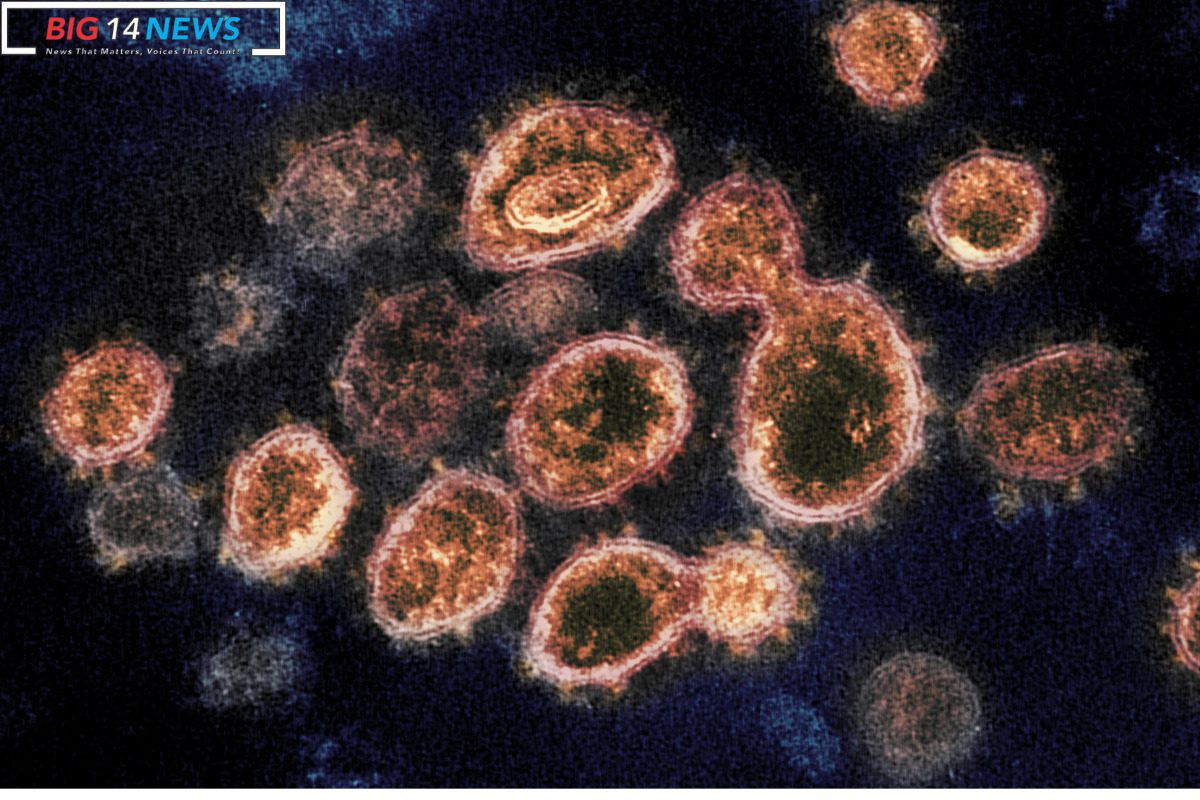 SARS CoV 2 Variants Impact COVID-19 Severity