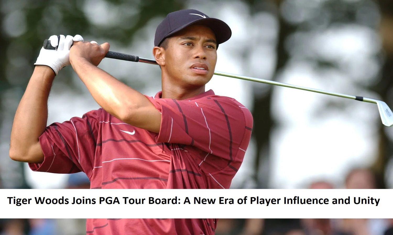 tiger-woods-joins-pga-tour-board-2