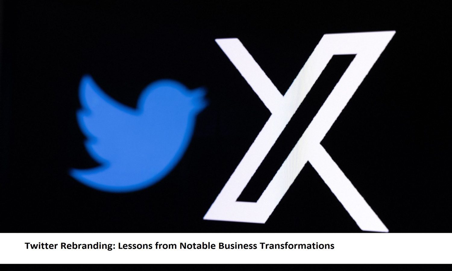 twitter-rebranding-lessons-1