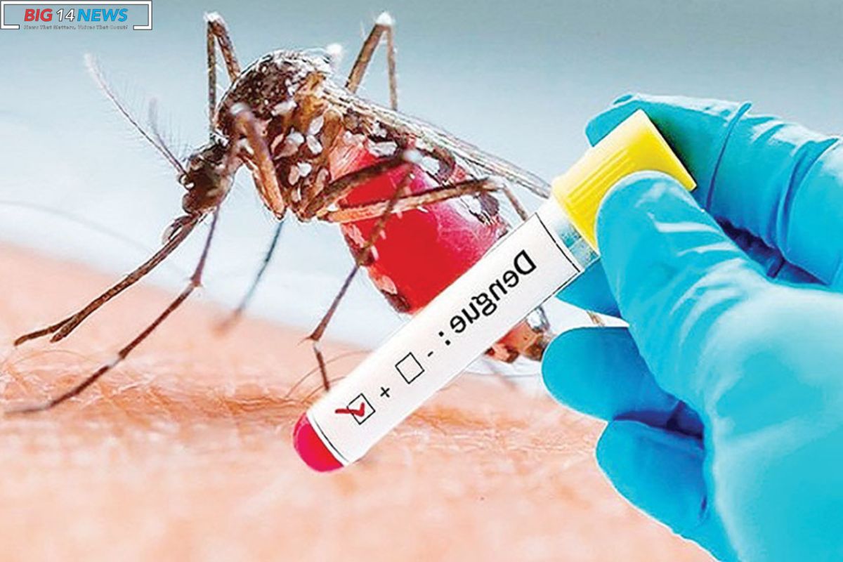 Dengue Control Fails