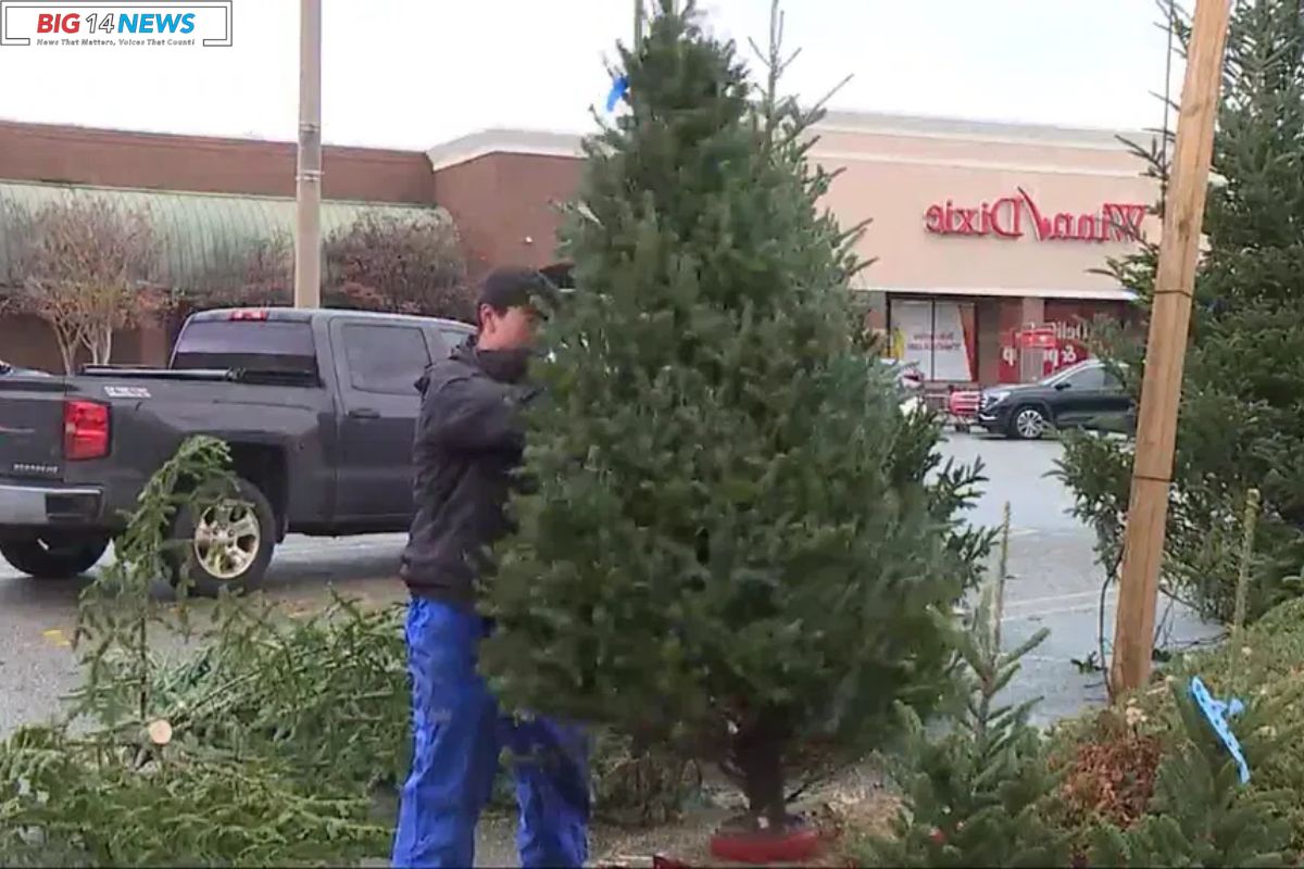 Droughts Impact Christmas Tree Supply