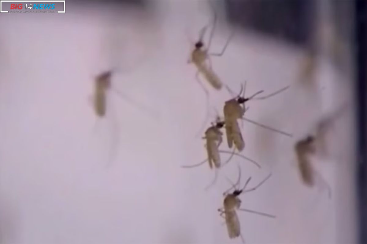 Mobile County Faces West Nile Virus