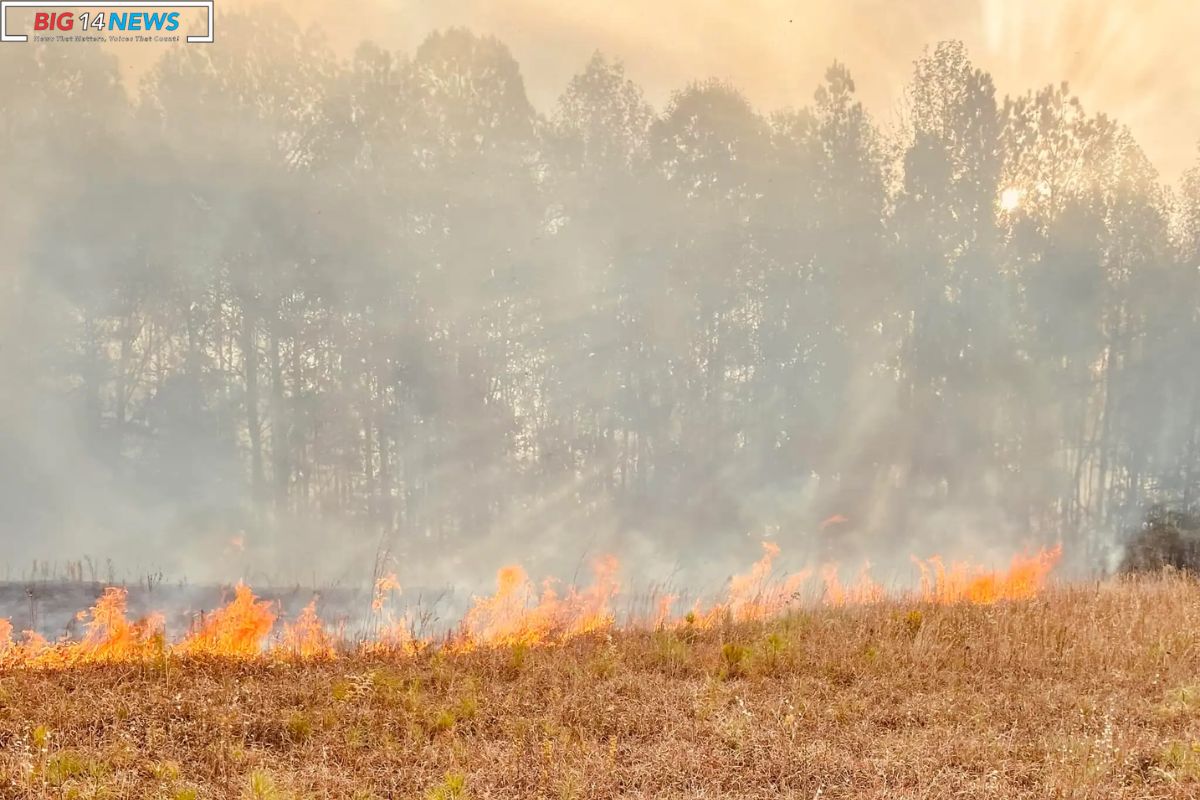 Multiple Agencies Contains Extensive Grass Fire