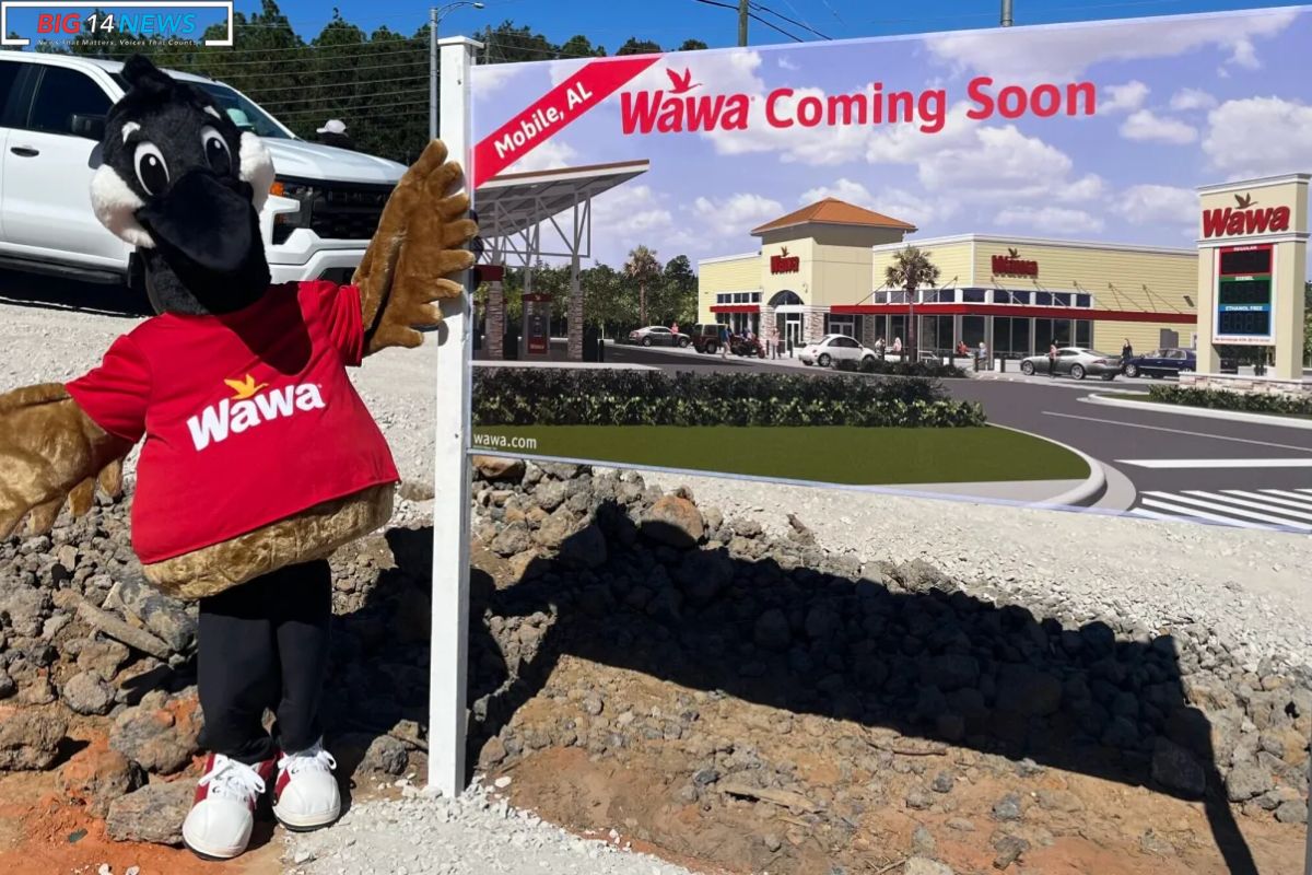 Wawa Southern Charm