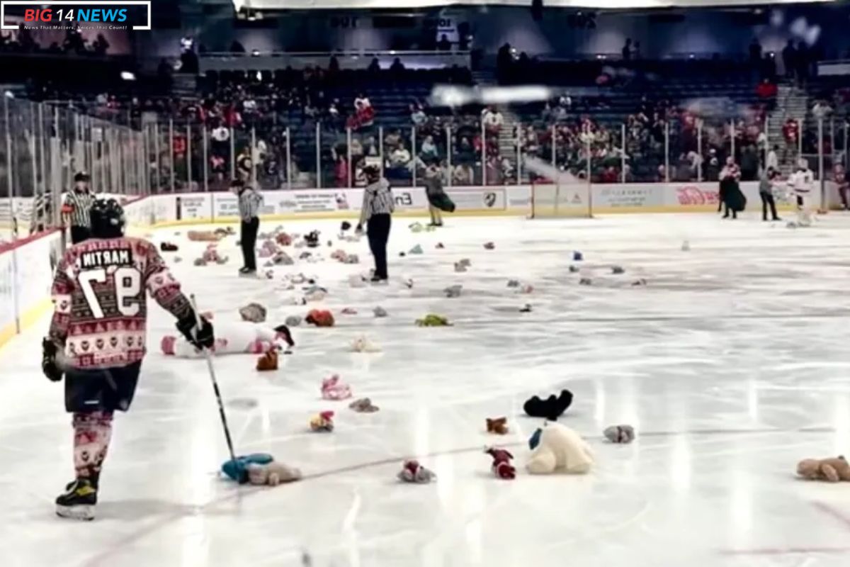 Alabama Kicks Off Teddy Bear Toss Season