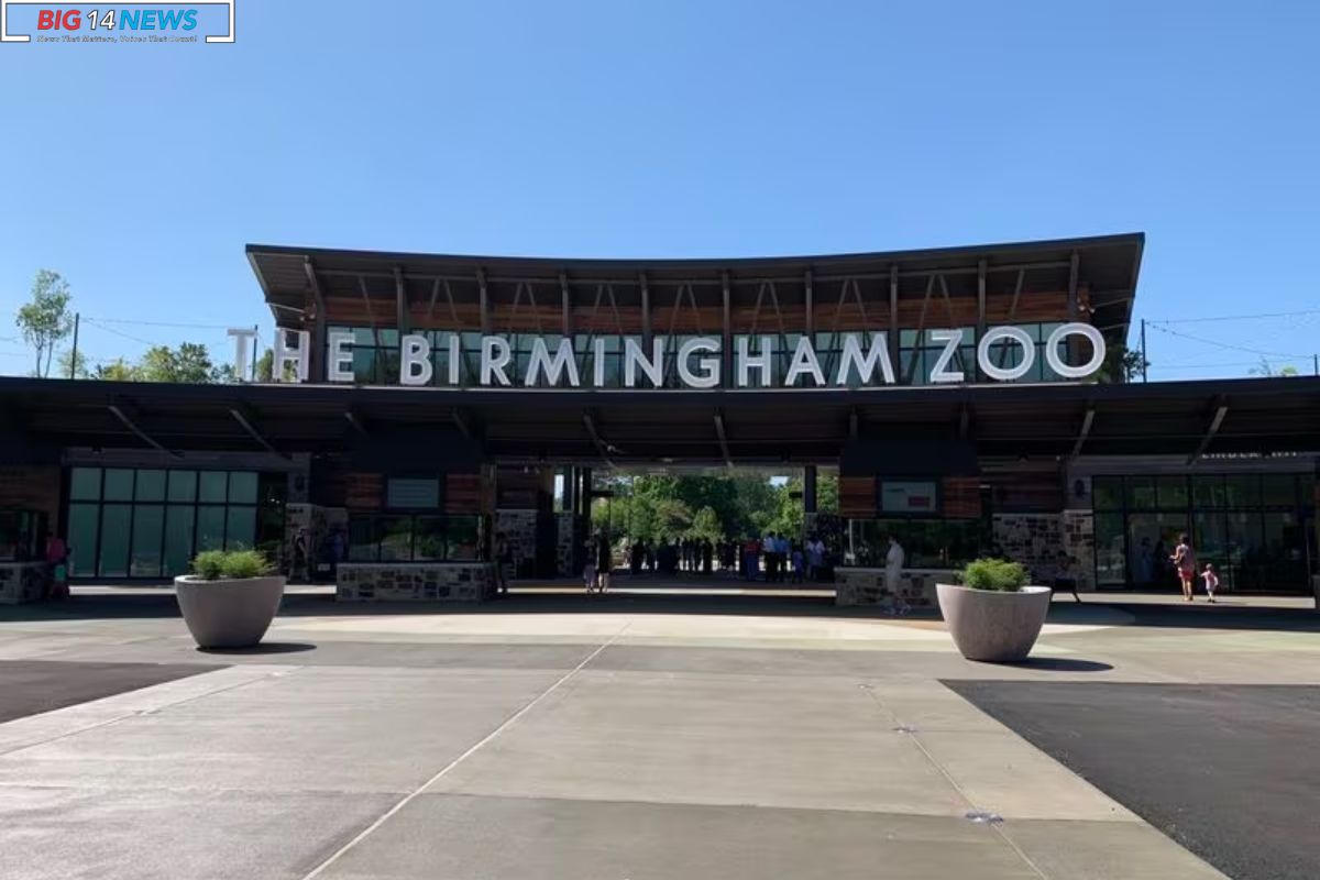 Birmingham Zoo Unearths Forgotten Graves