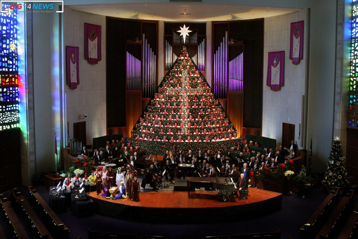 Huntsville Majestic Living Christmas Tree A Symphony of Holiday Spirit