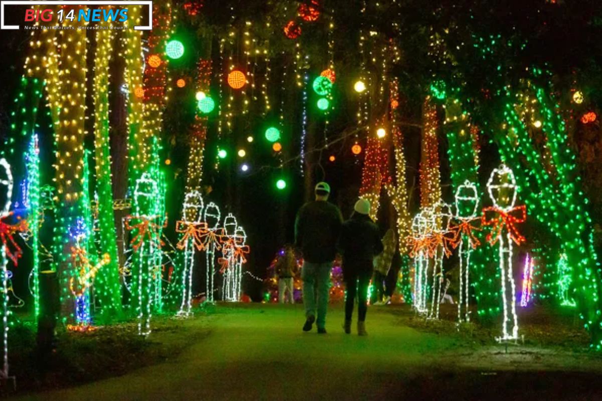 Magical Christmas Lights in Alabama (4)