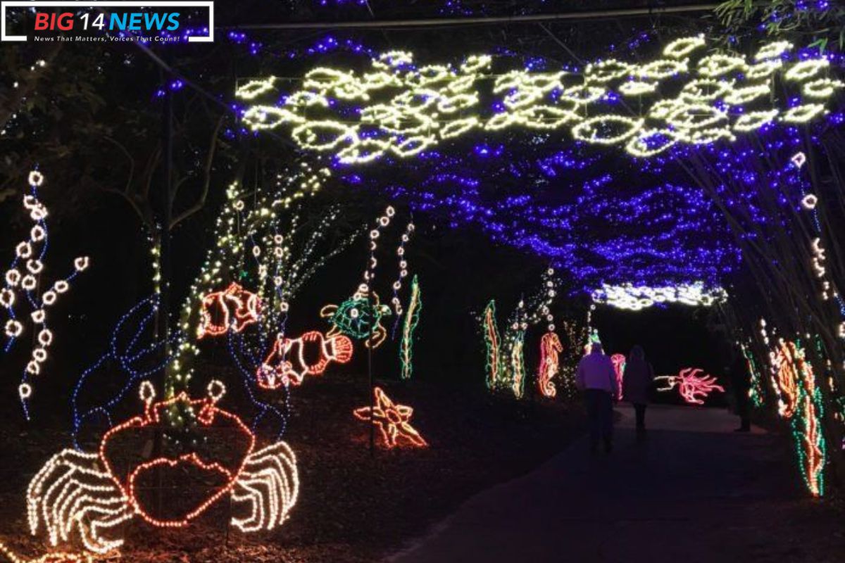 Magical Christmas Lights in Alabama 20232024