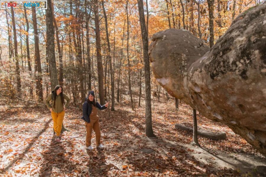 North Alabama Boulder Field Transformed