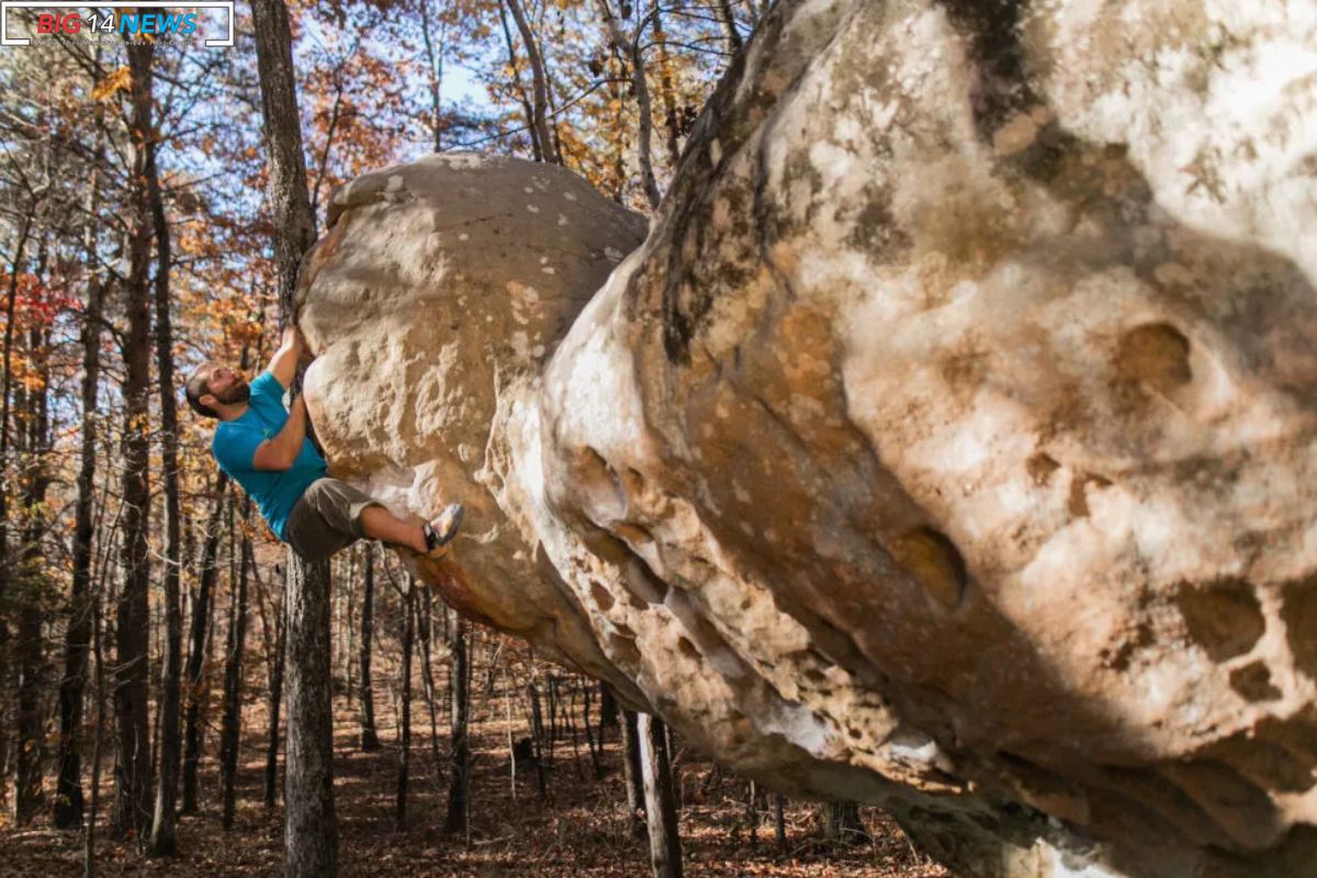 North Alabama Boulder Field Transformed