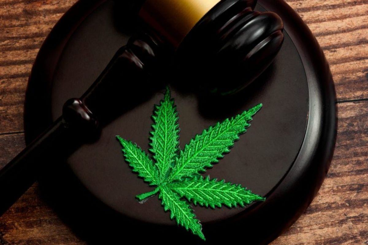 Alabama Medical Cannabis Commission Faces