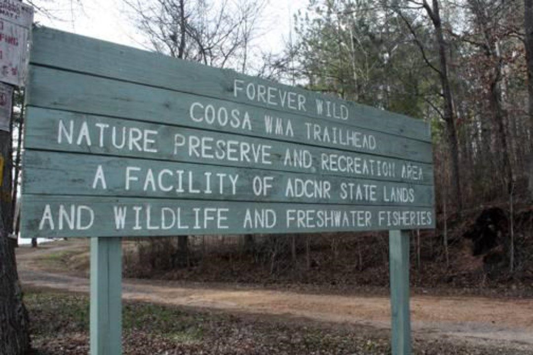 alabama wildlife management areas
