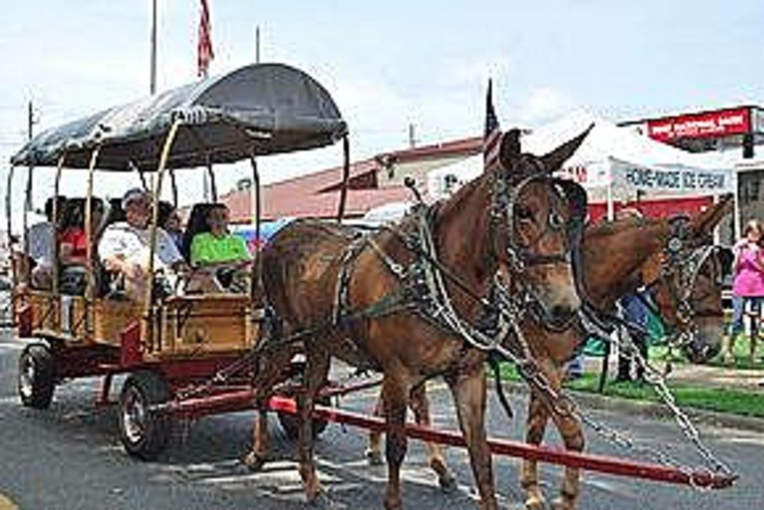 alabama s agricultural reliance on mules