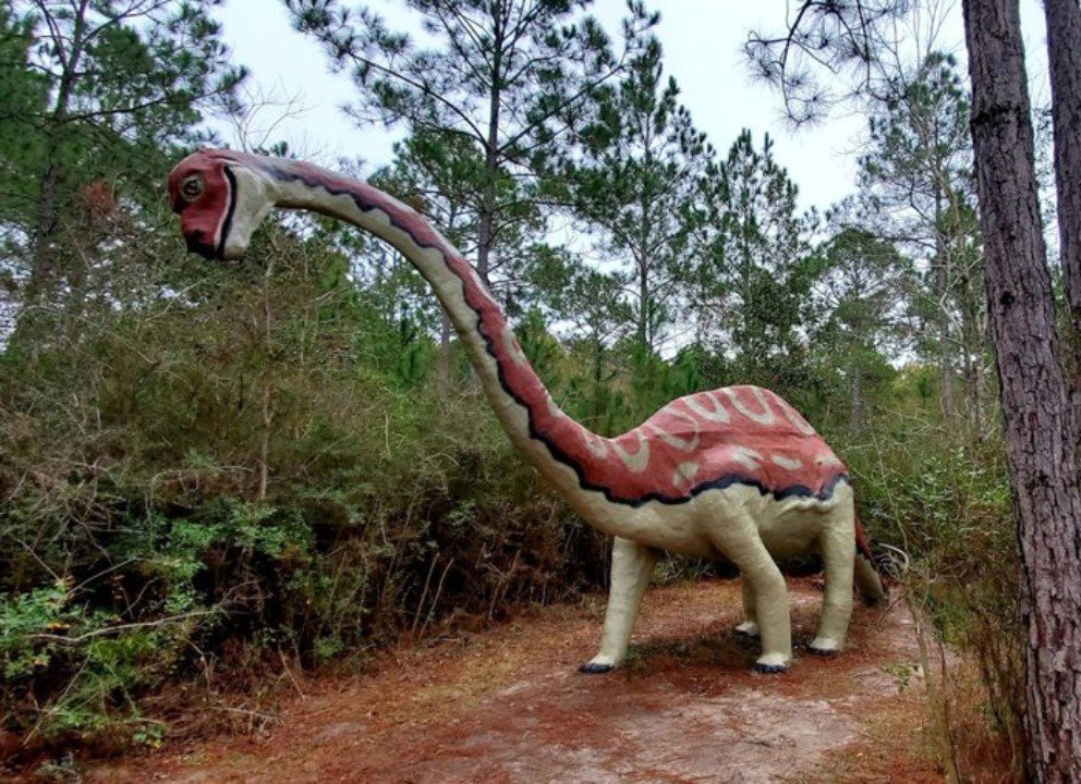 unique fossil discovered alabama s nodosaur