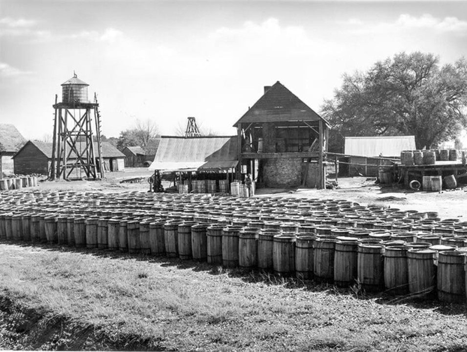 turpentine industry in alabama