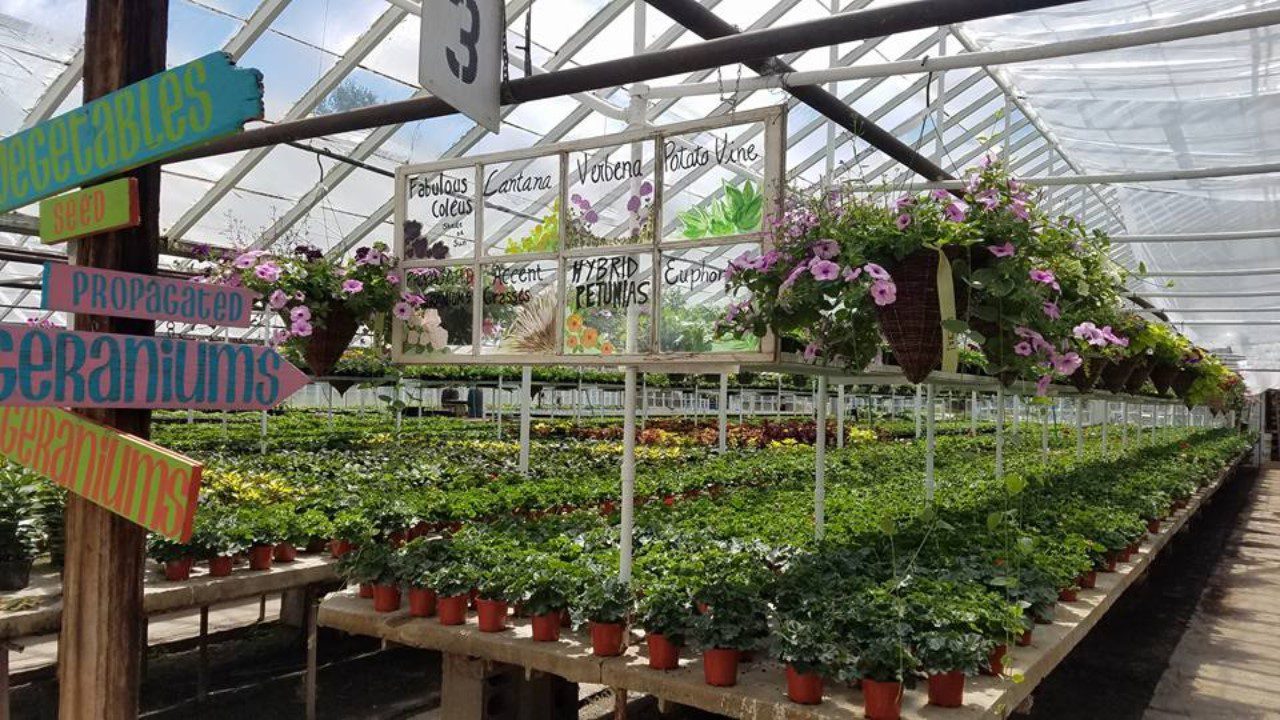 greenhouse and floral production in alabama
