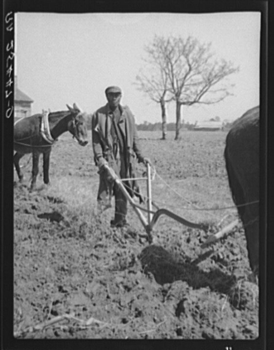 sharecropping and tenant farming in alabama