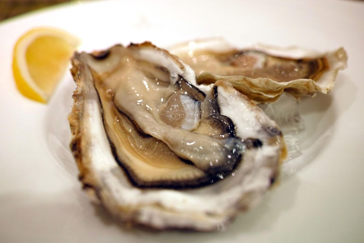 Fort Oyster Fest Returns for Second Year Celebrating Shellfish