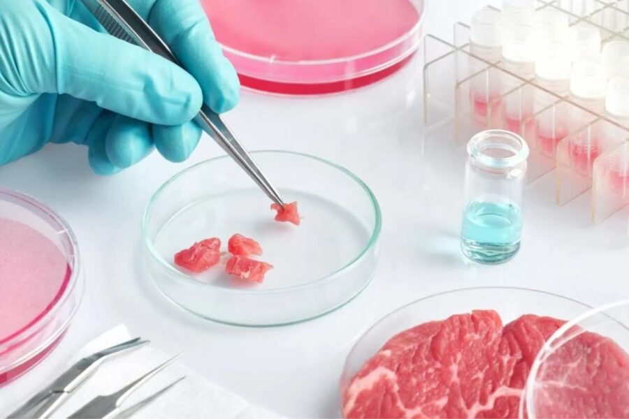 Senate Approves Ban on Lab-Grown Meat