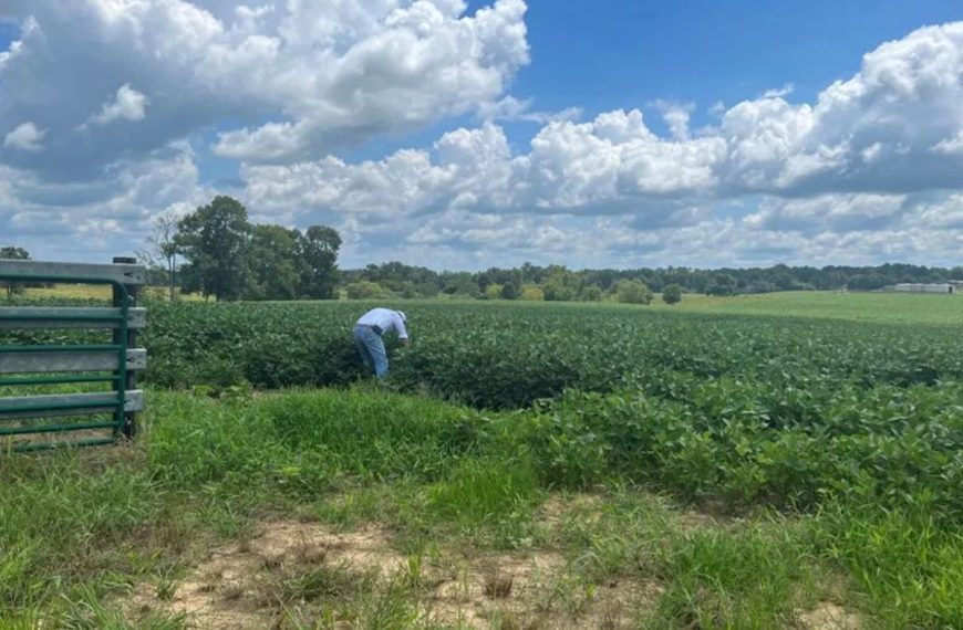 Alabama Farmers on Alert