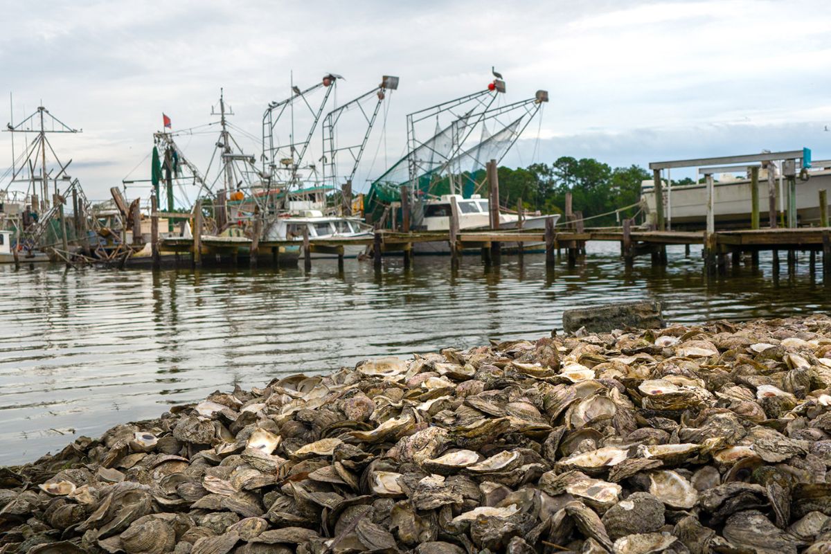 Alabama Senate Debates Seafood Labeling Bill