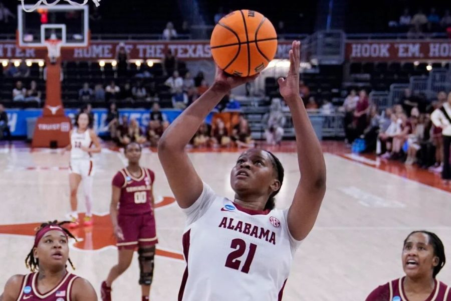 Freshman Cody Leads Women's Basketball