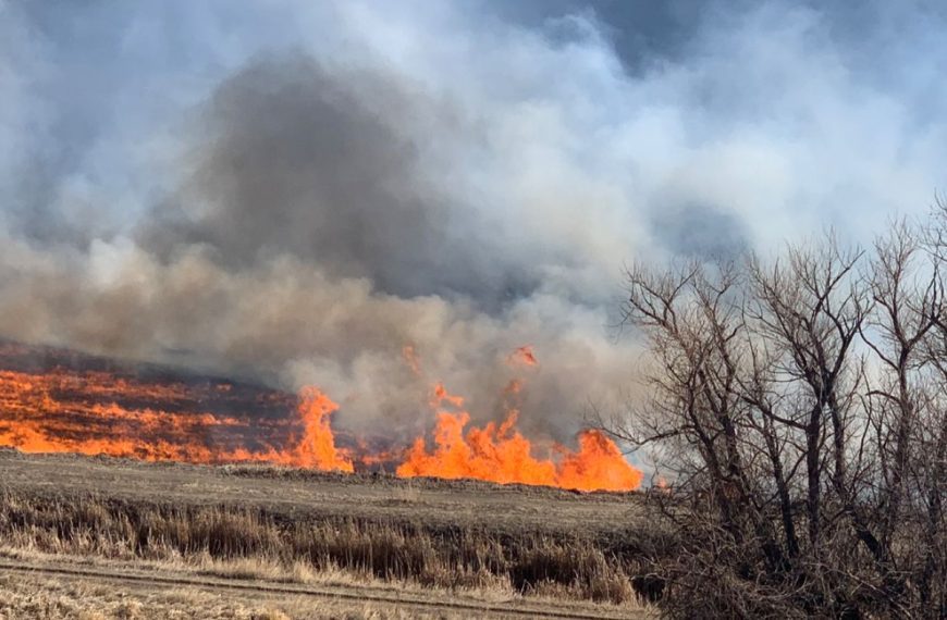 Massive Wildfire Engulfs 100 Acres