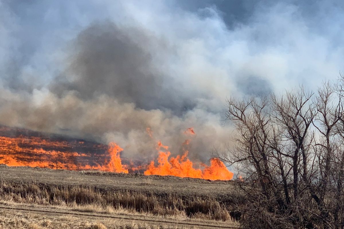 Massive Wildfire Engulfs 100 Acres