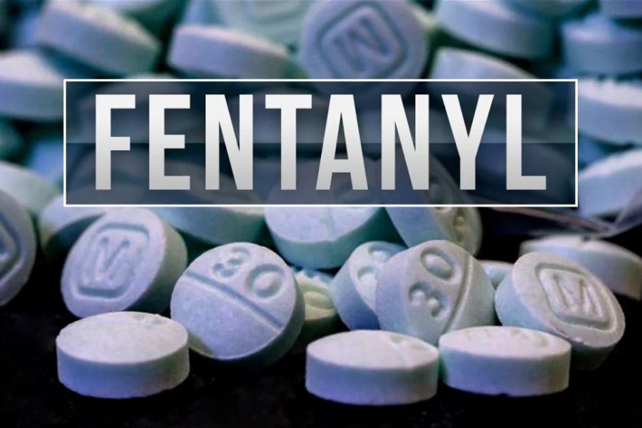 Rep. Lovvorn Takes Stand Against Fentanyl